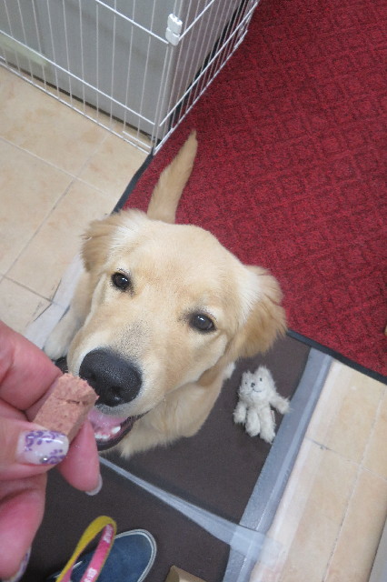 ファイル 6712-5.jpg