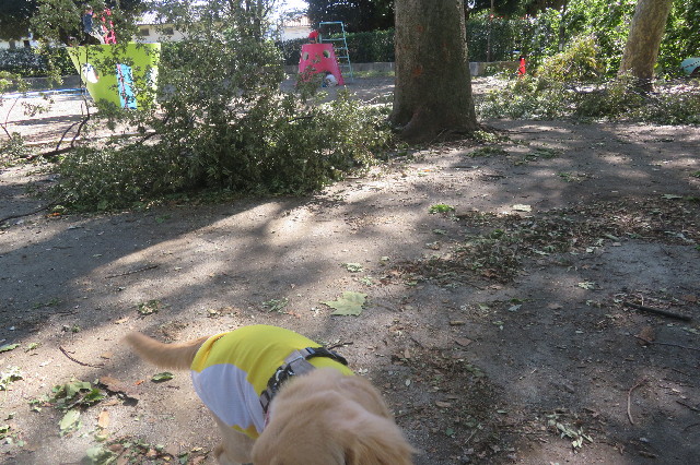 ファイル 6714-4.jpg