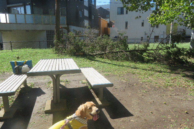 ファイル 6714-5.jpg