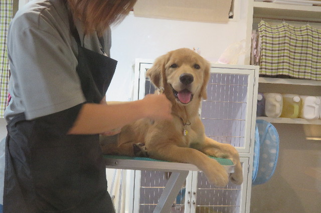 ファイル 6715-2.jpg