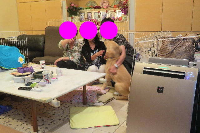 ファイル 6715-5.jpg