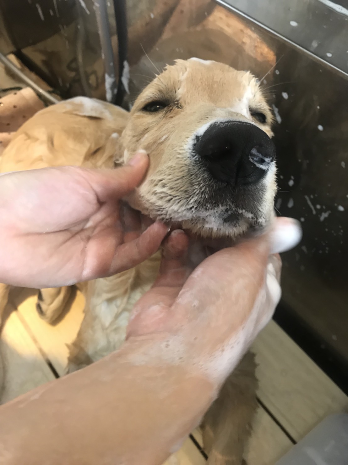 ファイル 6716-2.jpg