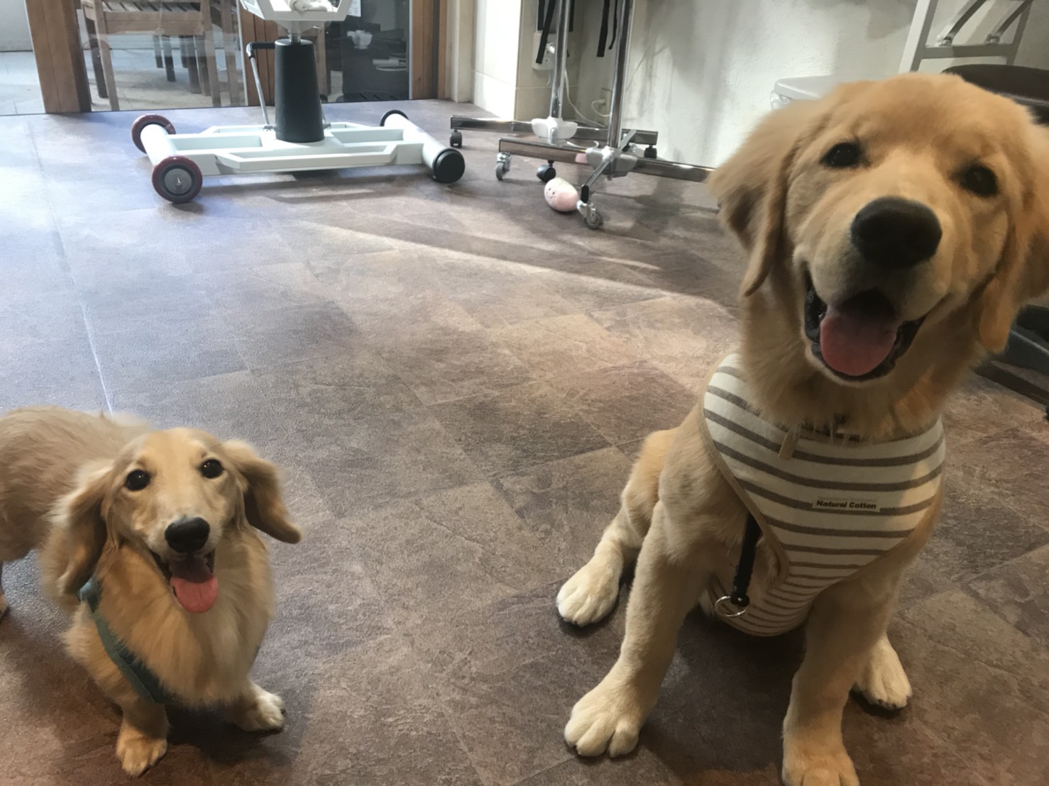 ファイル 6716-3.jpg