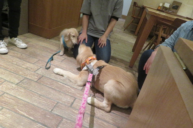 ファイル 6716-4.jpg