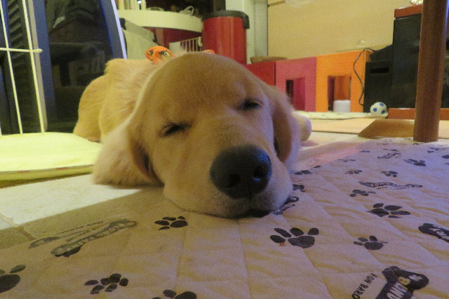 ファイル 6716-5.jpg