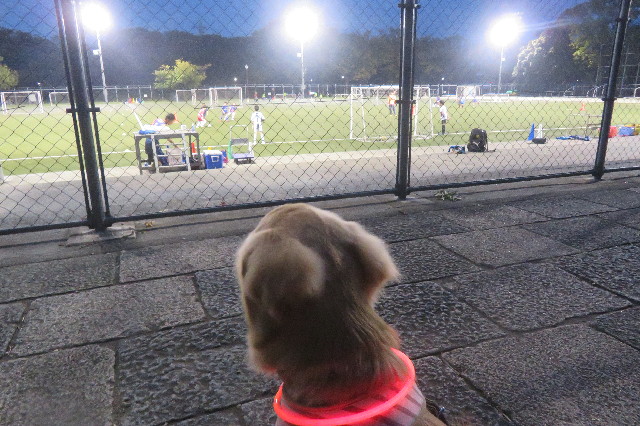 ファイル 6718-2.jpg