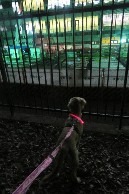 ファイル 6718-3.jpg