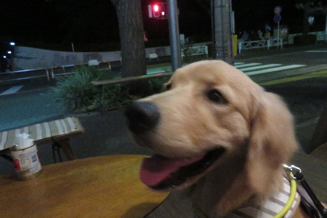 ファイル 6718-4.jpg