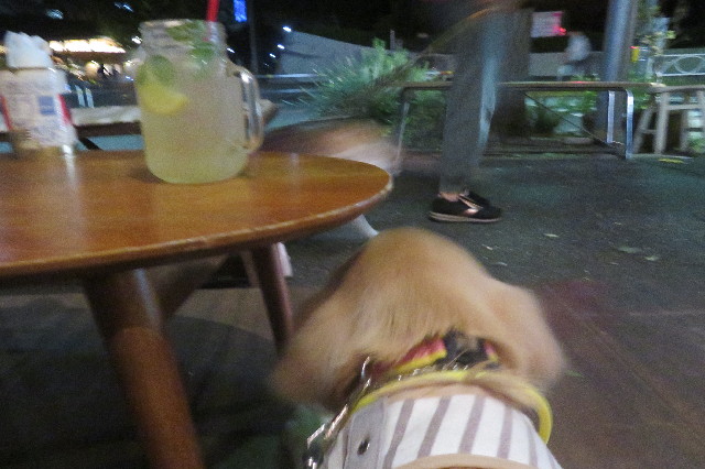 ファイル 6718-5.jpg