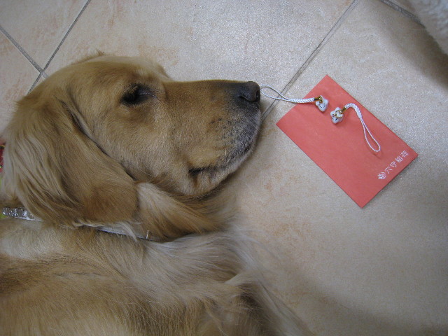 ファイル 672-1.jpg