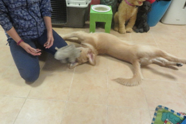 ファイル 6722-2.jpg