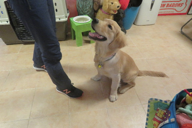 ファイル 6722-3.jpg