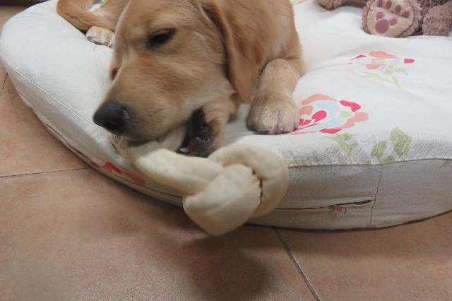 ファイル 6722-5.jpg