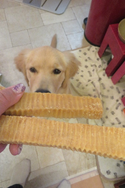 ファイル 6723-2.jpg