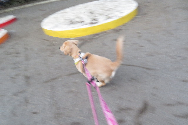 ファイル 6723-4.jpg