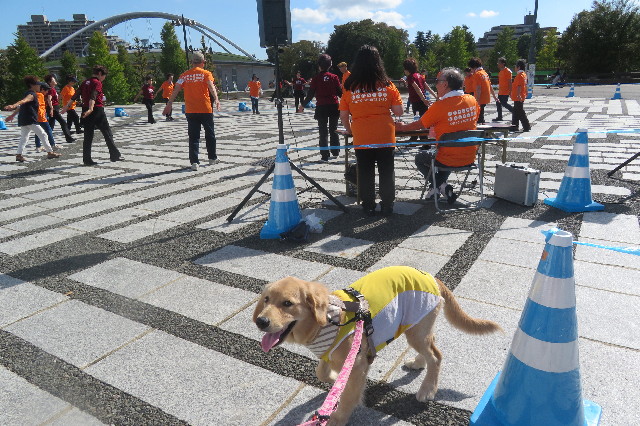 ファイル 6724-4.jpg