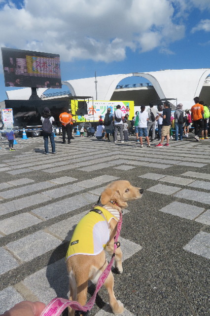 ファイル 6725-1.jpg