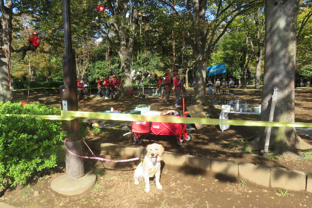 ファイル 6725-4.jpg