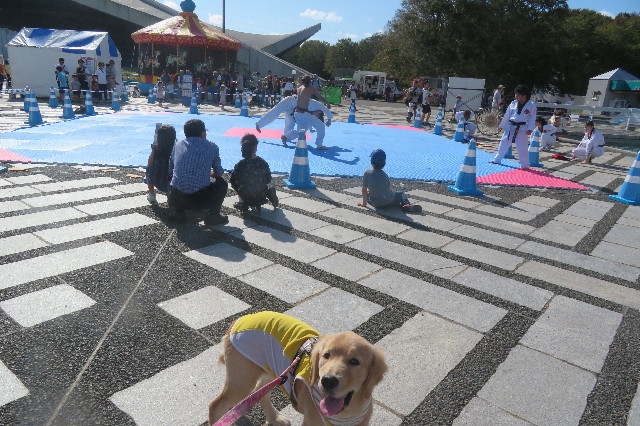 ファイル 6725-5.jpg