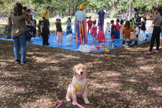 ファイル 6726-2.jpg