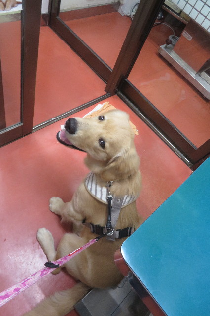 ファイル 6726-4.jpg