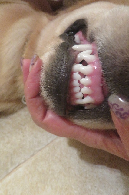 ファイル 6726-5.jpg