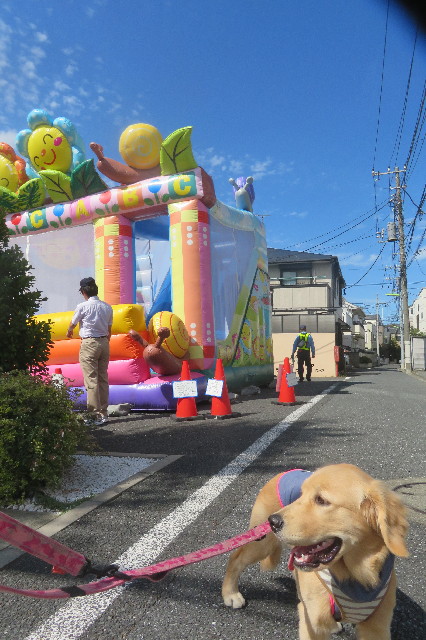 ファイル 6727-2.jpg