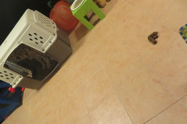 ファイル 6727-5.jpg