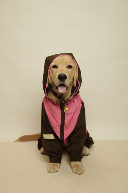 ファイル 6728-1.jpg