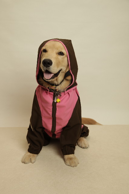 ファイル 6728-2.jpg