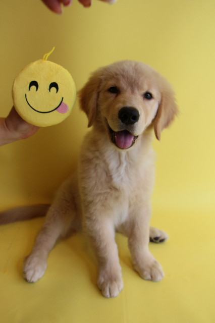 ファイル 6728-3.jpg