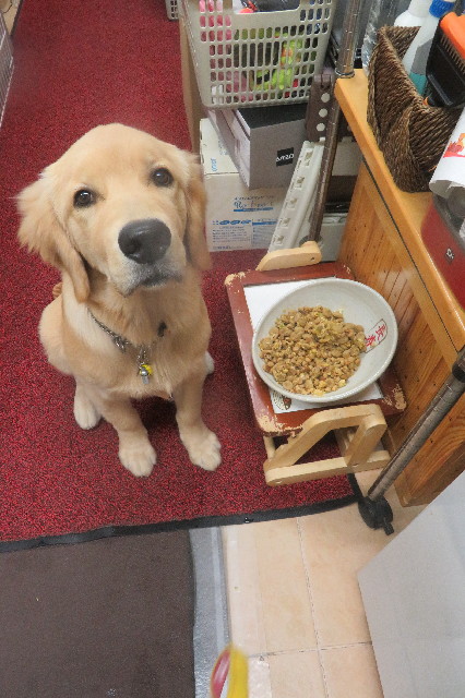 ファイル 6728-4.jpg