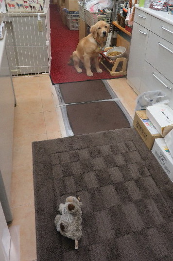 ファイル 6728-5.jpg