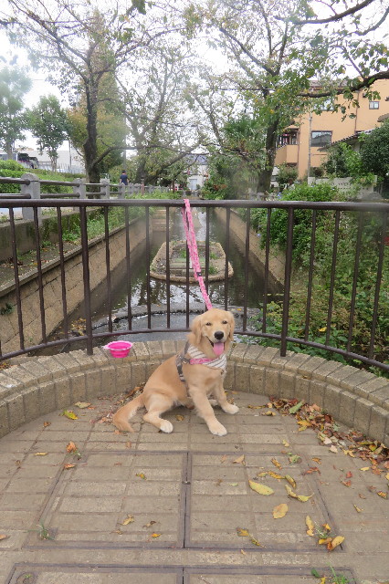 ファイル 6729-3.jpg