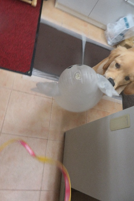 ファイル 6729-4.jpg