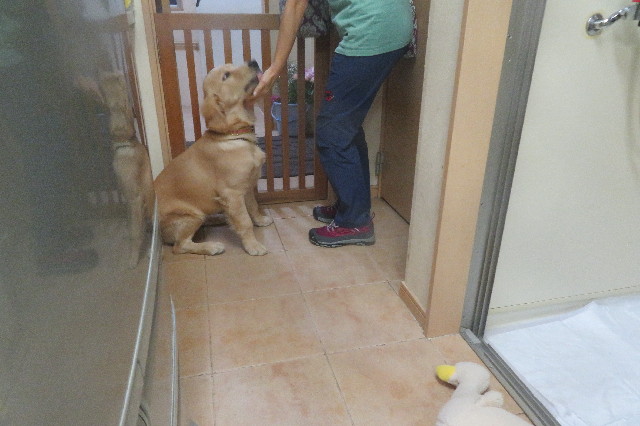 ファイル 6729-5.jpg