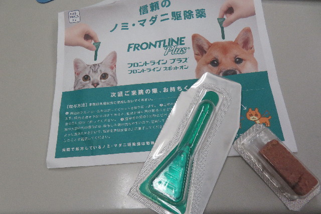 ファイル 6730-3.jpg