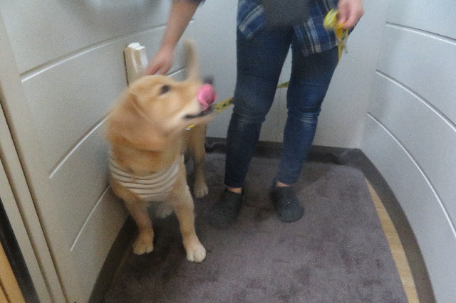 ファイル 6730-5.jpg