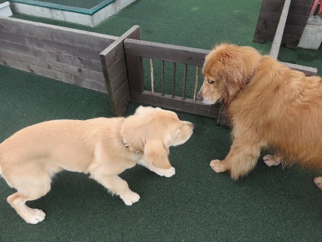 ファイル 6731-1.jpg