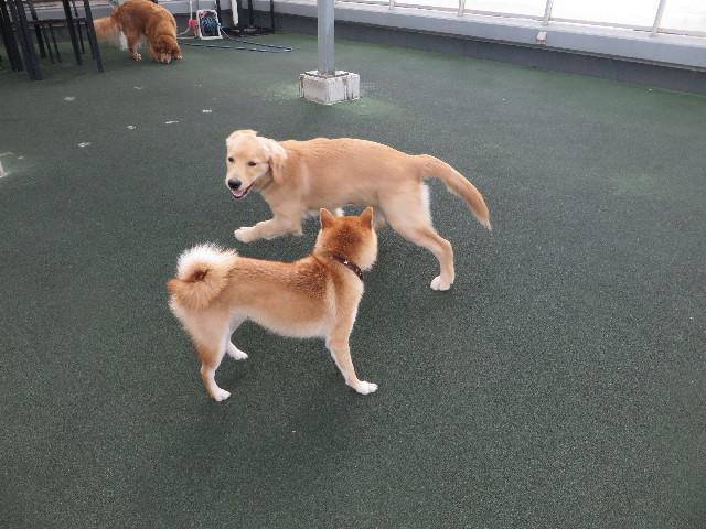 ファイル 6731-2.jpg