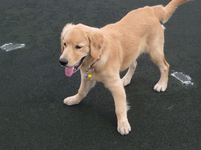 ファイル 6731-4.jpg