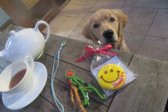 ファイル 6732-2.jpg