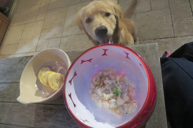 ファイル 6732-3.jpg