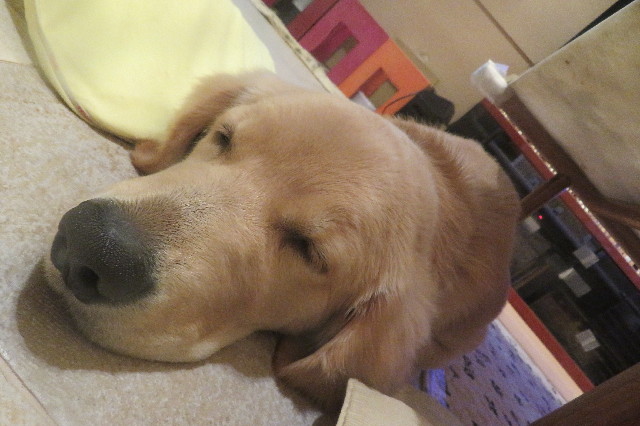 ファイル 6732-4.jpg