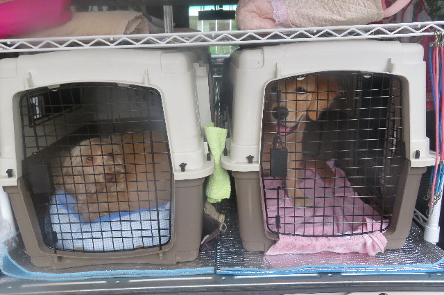 ファイル 6734-1.jpg