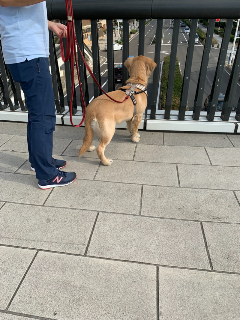 ファイル 6734-3.jpg