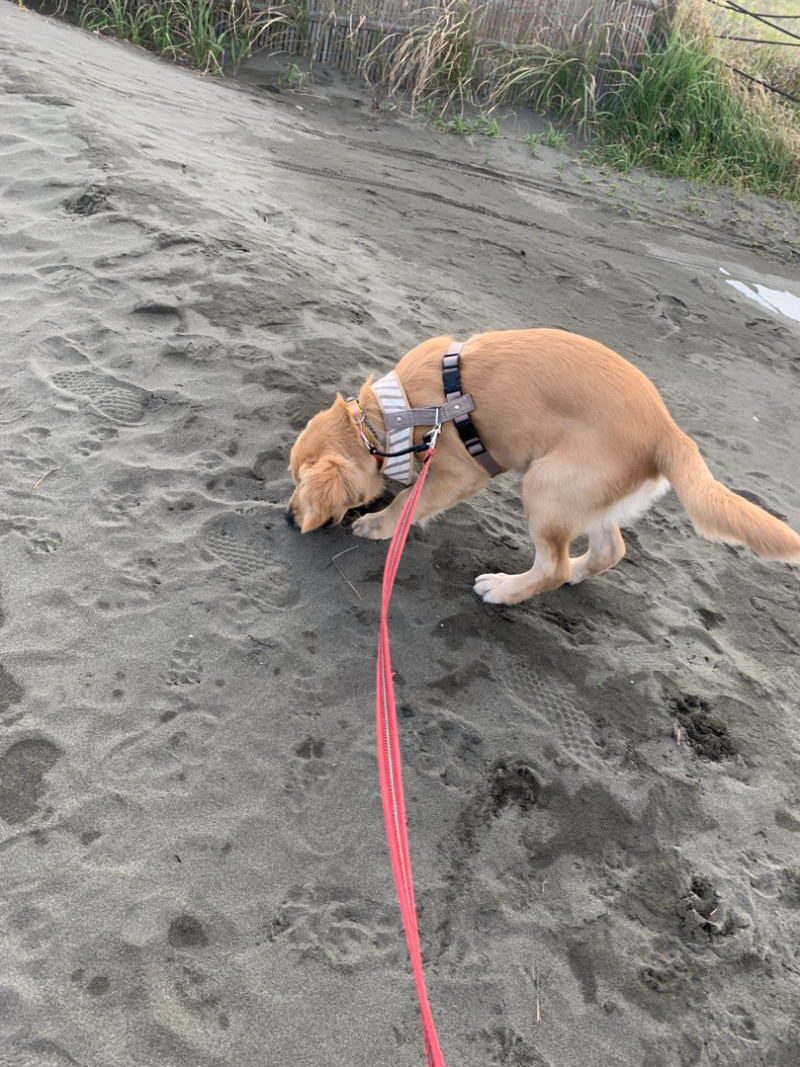 ファイル 6734-5.jpg