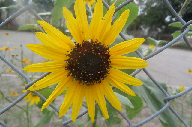 ファイル 6735-2.jpg