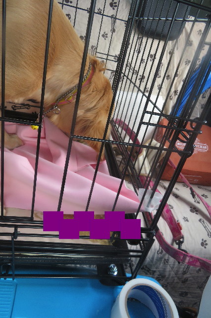 ファイル 6735-3.jpg