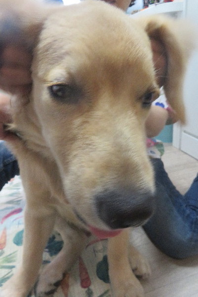 ファイル 6735-4.jpg